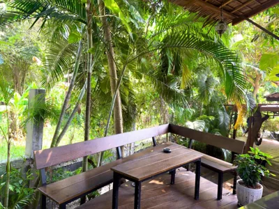 Jungle Vibes – Fotos 5